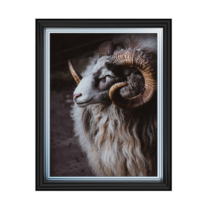 Ram of old