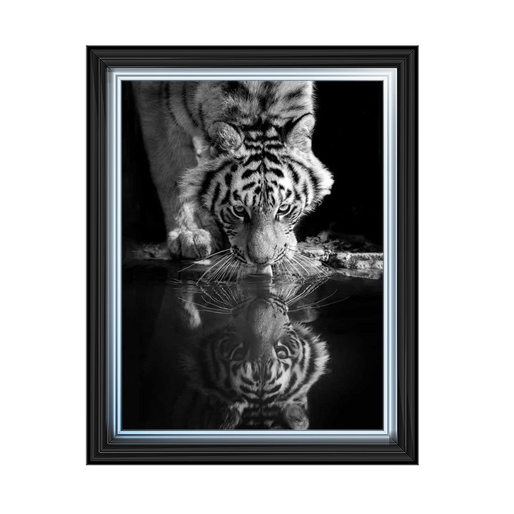 AN526 The reflection of a predator