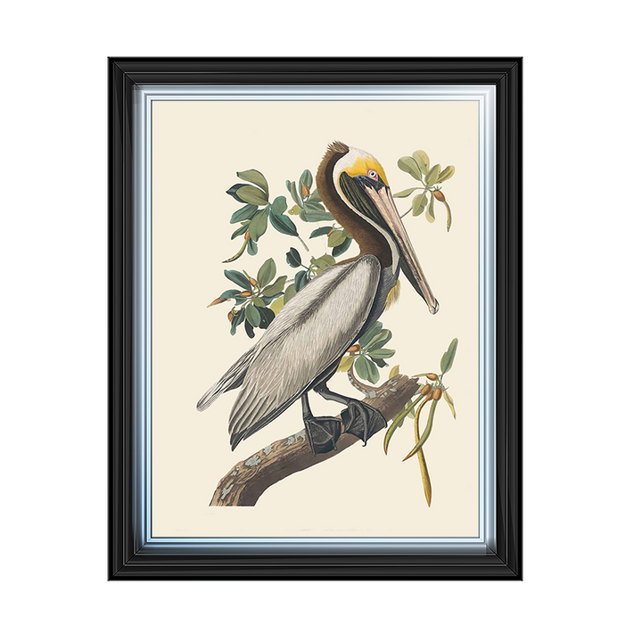 Pelican mural