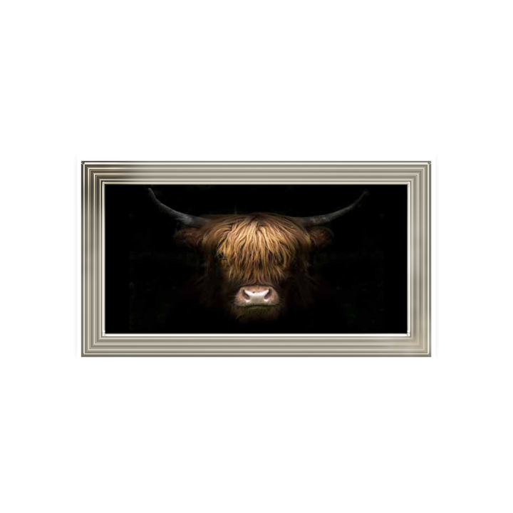 AN536 Highland cow headshot