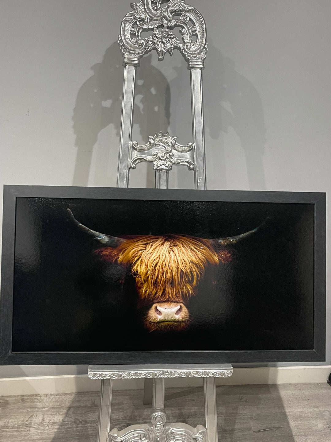Highland Cow Headshot OV