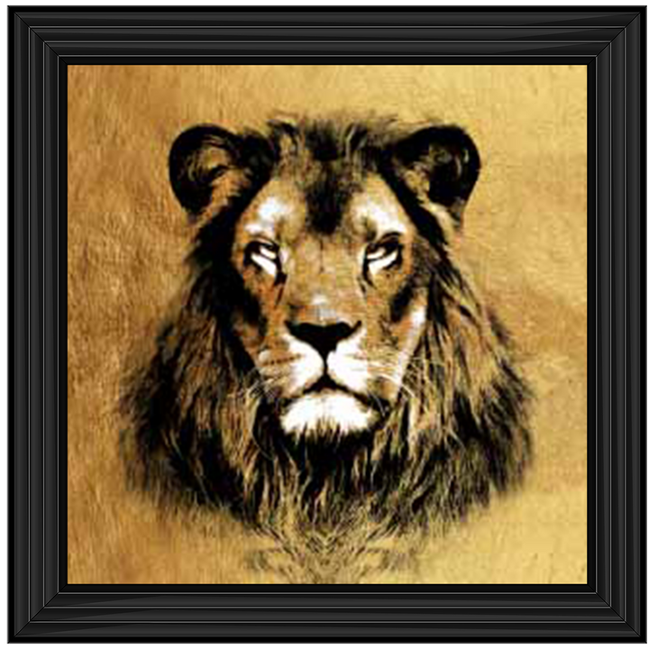 AN540 Graphite Lion Sketch
