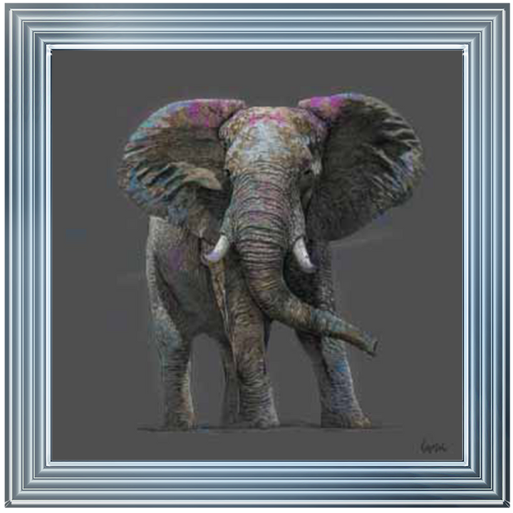 AN555 Lone Elephant
