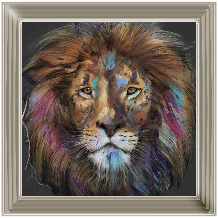 AN567 Colourful lion portrait