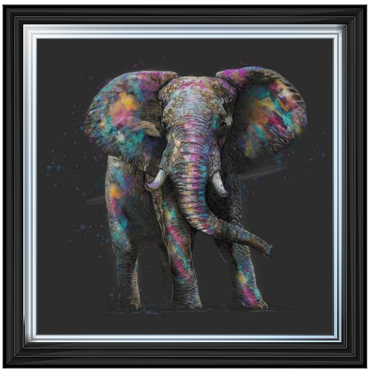 AN568 Colourful elephant
