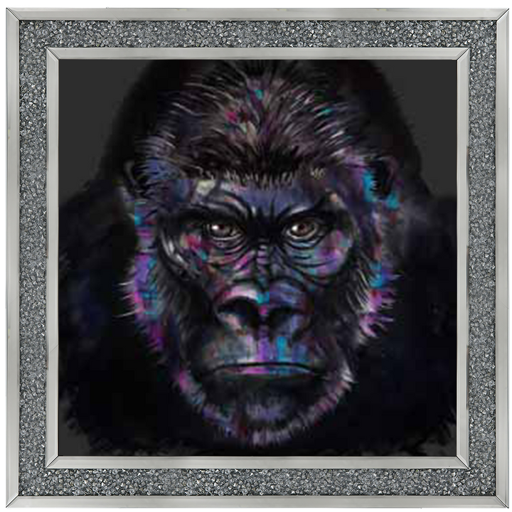 AN569 Colourful Gorilla