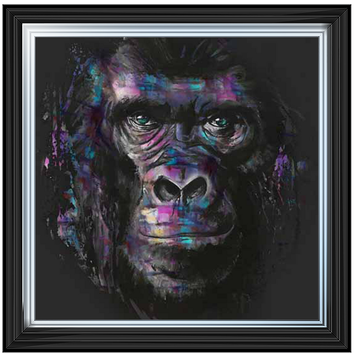 AN570 Colourful Gorilla ||