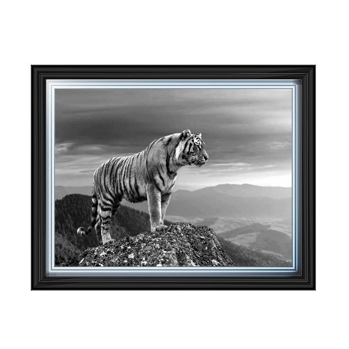 King of the rock B&W