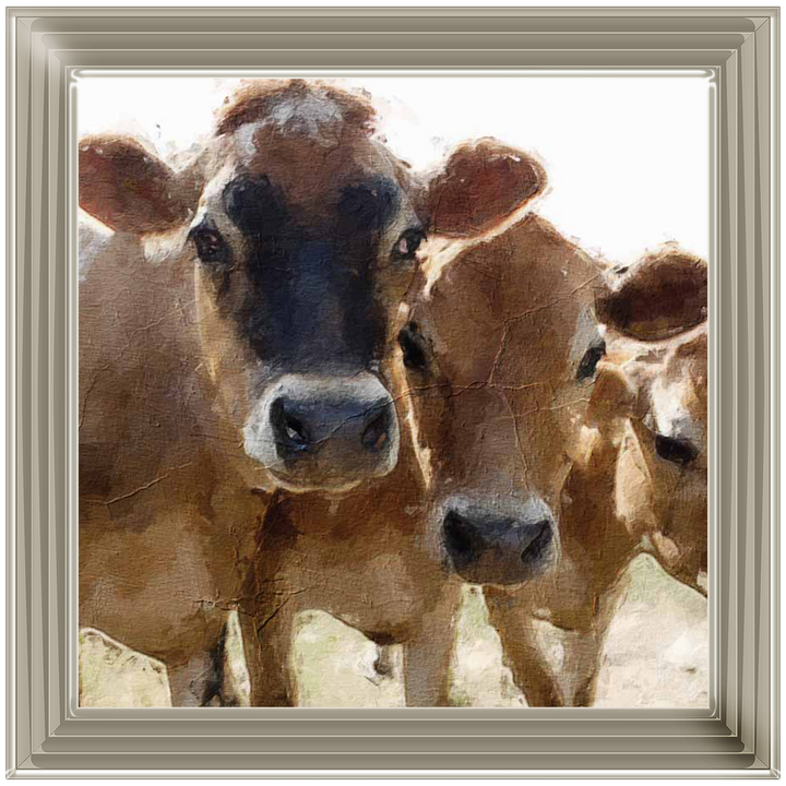 AN614 Cow Painting
