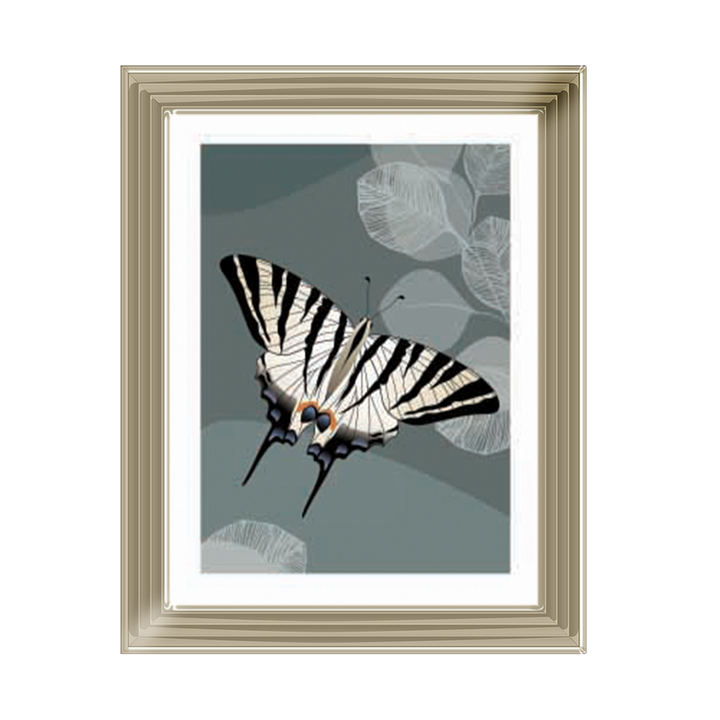 Simple Butterfly |