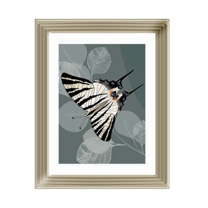 Simple Butterfly ||
