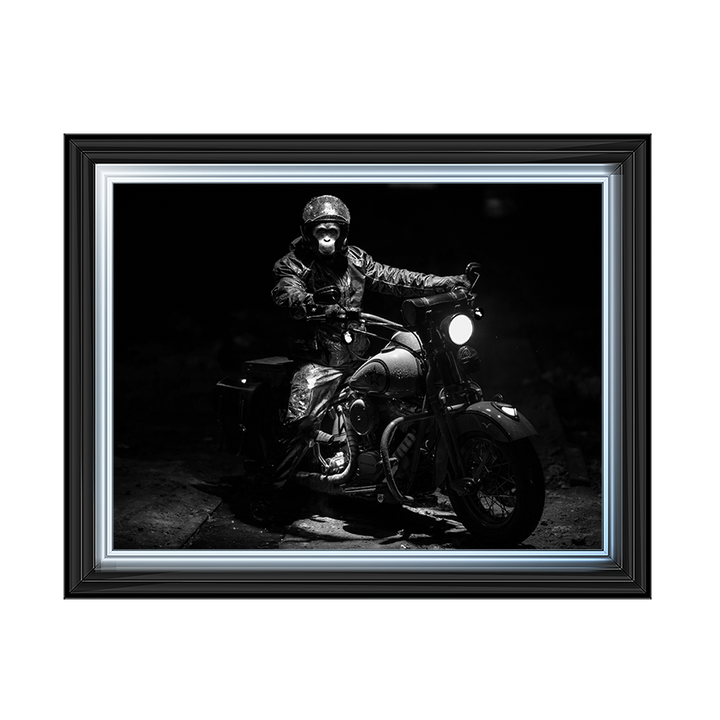 Motor Monkey