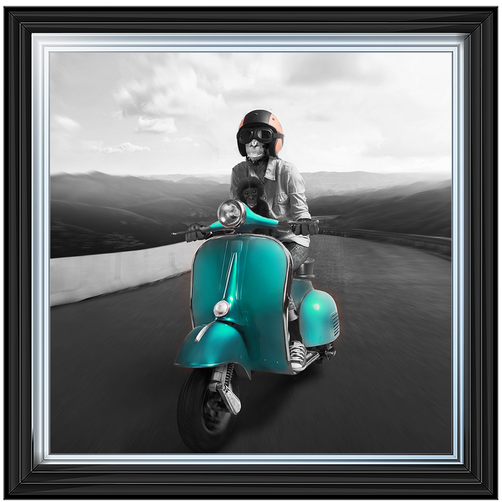 Vesper Monkey (BLUE)