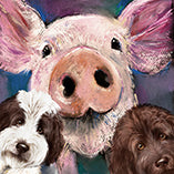 AN684 PIG WITH 2 DOGS