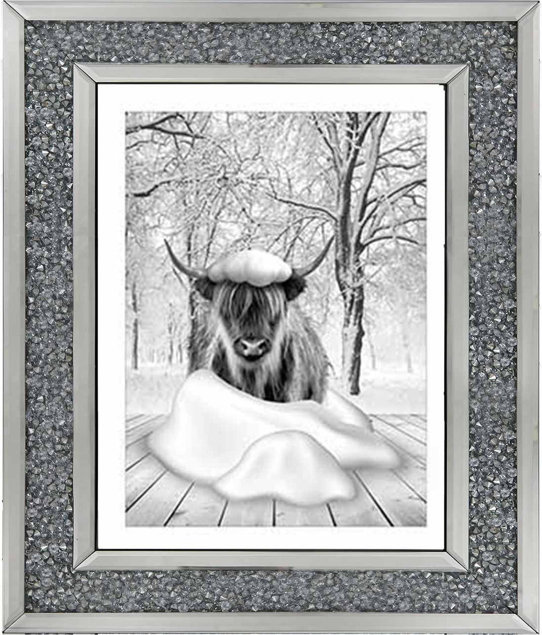 AN750-B&W Highland cow on Winter Snow l