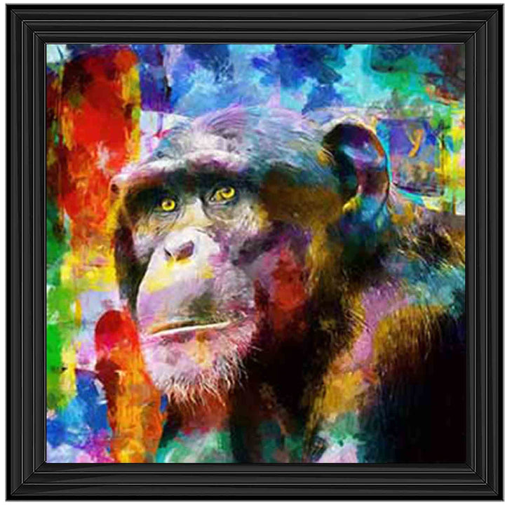 AN821 Colourful Monkey