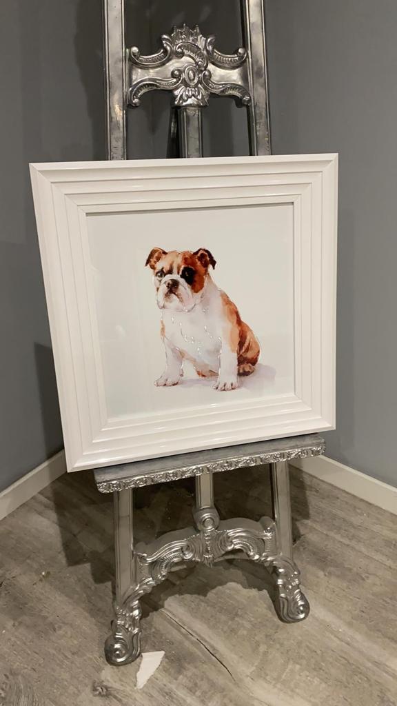AN870 Bulldog