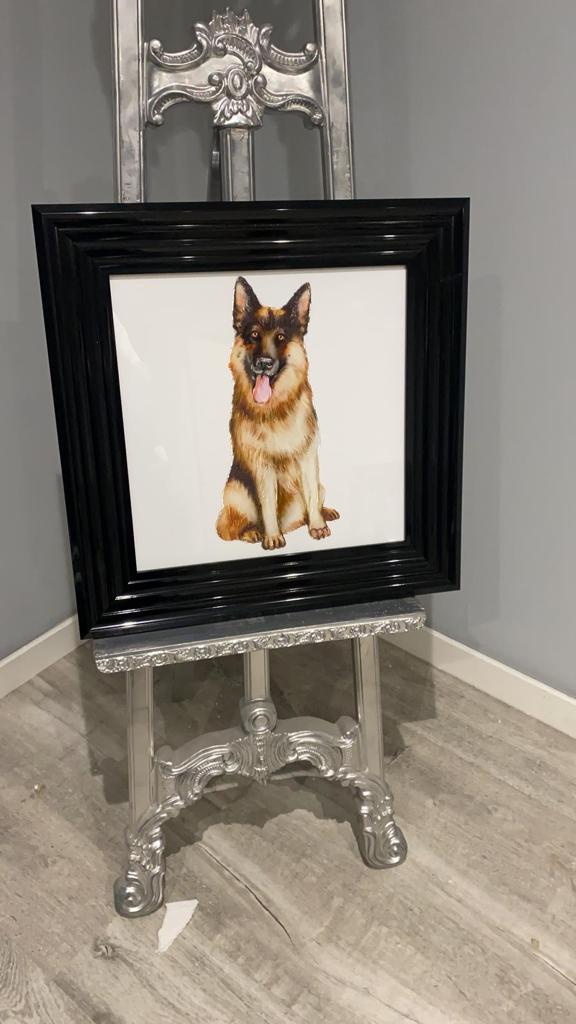 AN871 German Shepherd