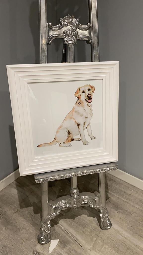 AN872 Labrador Retriever