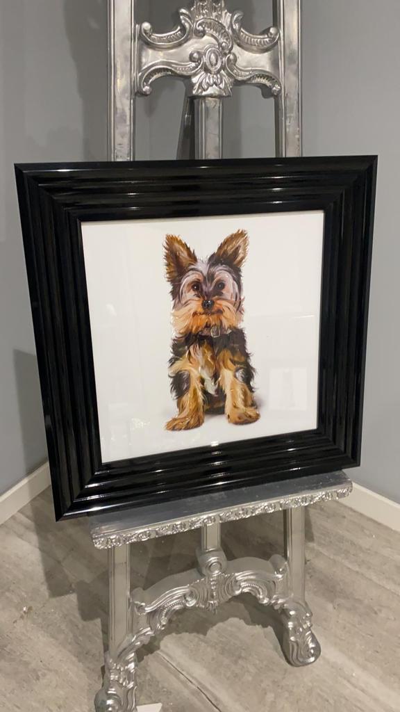AN878 Yorkshire Terrier