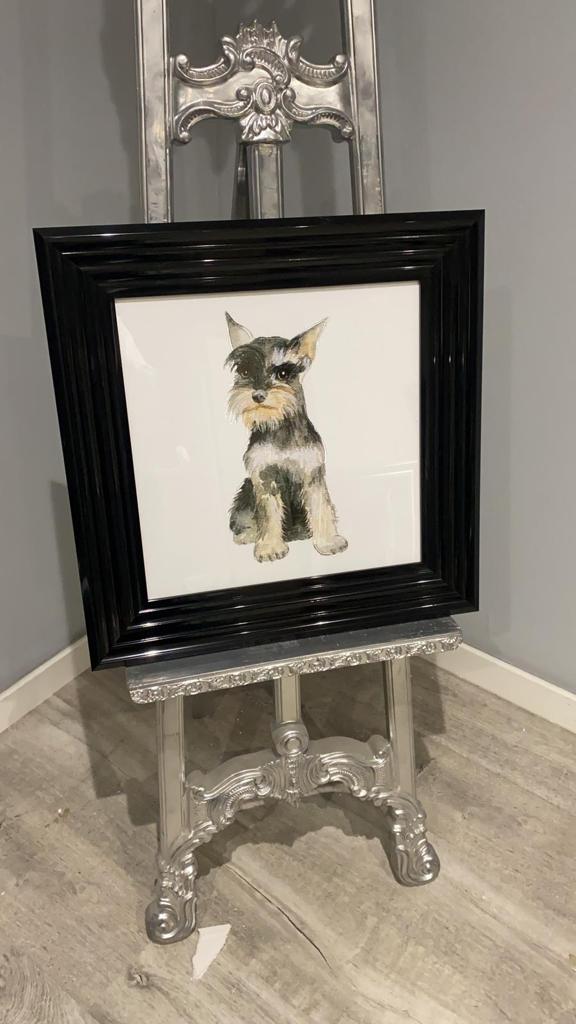 AN881 Miniature Schnauzer
