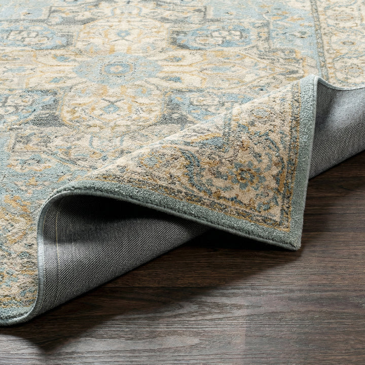 Elegant Avellino Vintage Traditional Boho High Pile Rug