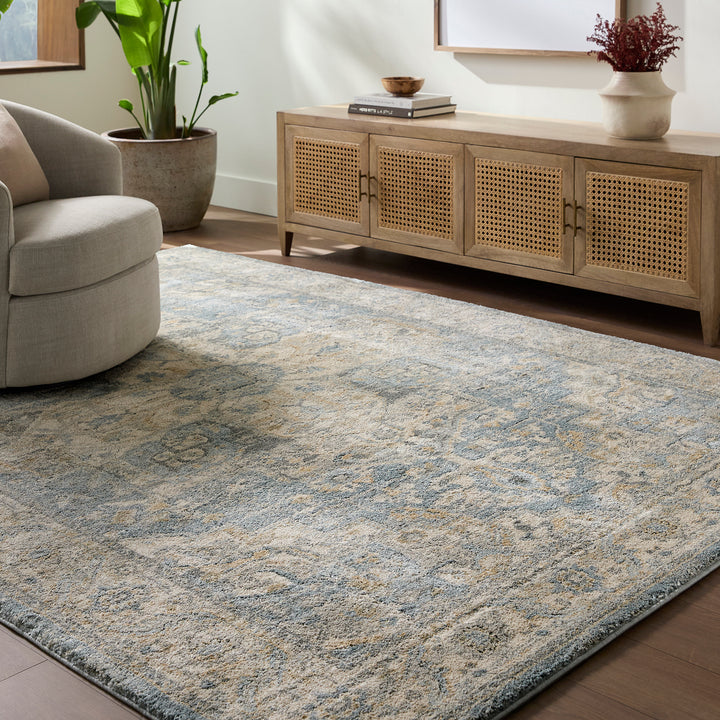 Premium Avellino Vintage Traditional Boho High Pile Rug