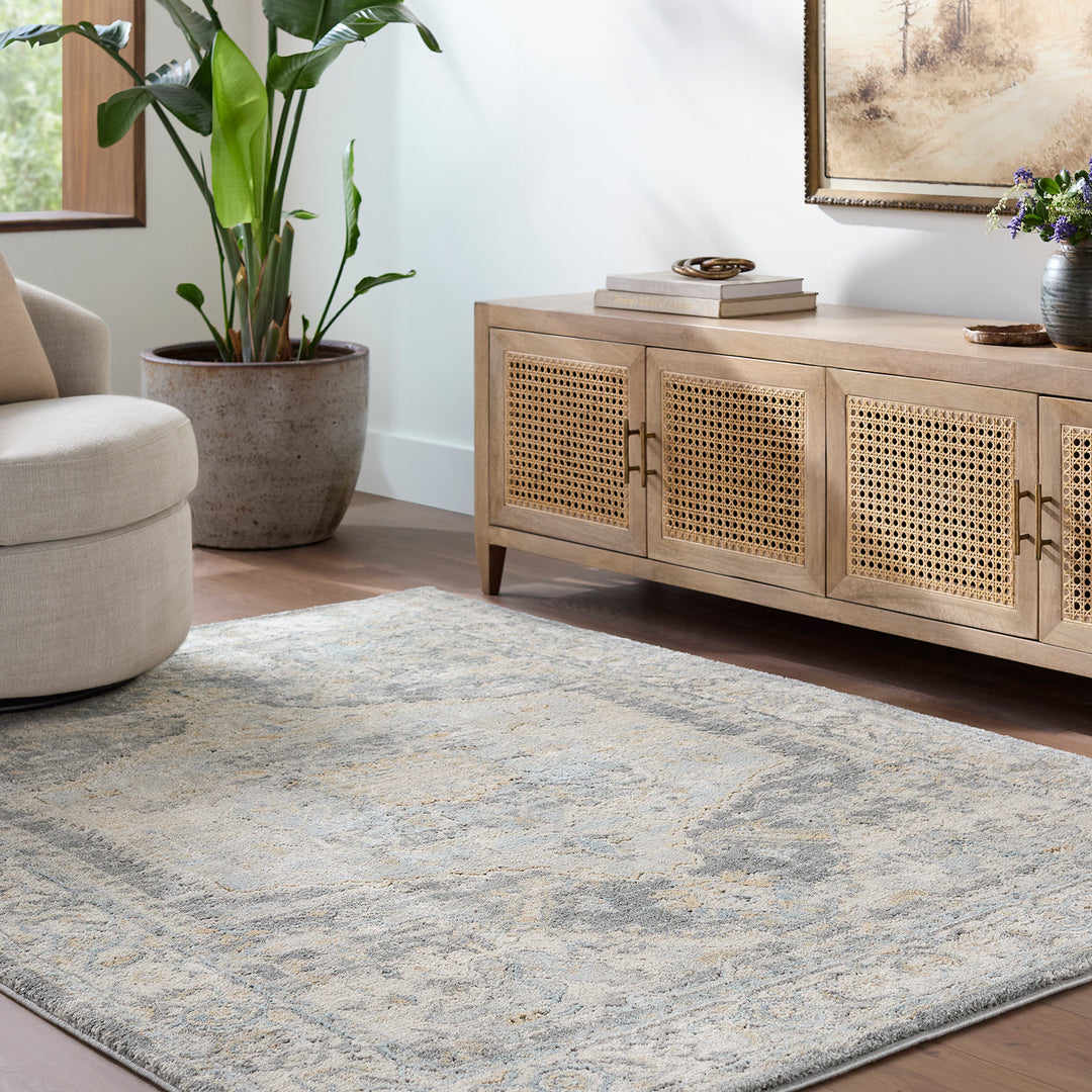 Modern Avellino Vintage Traditional Boho High Pile Rug