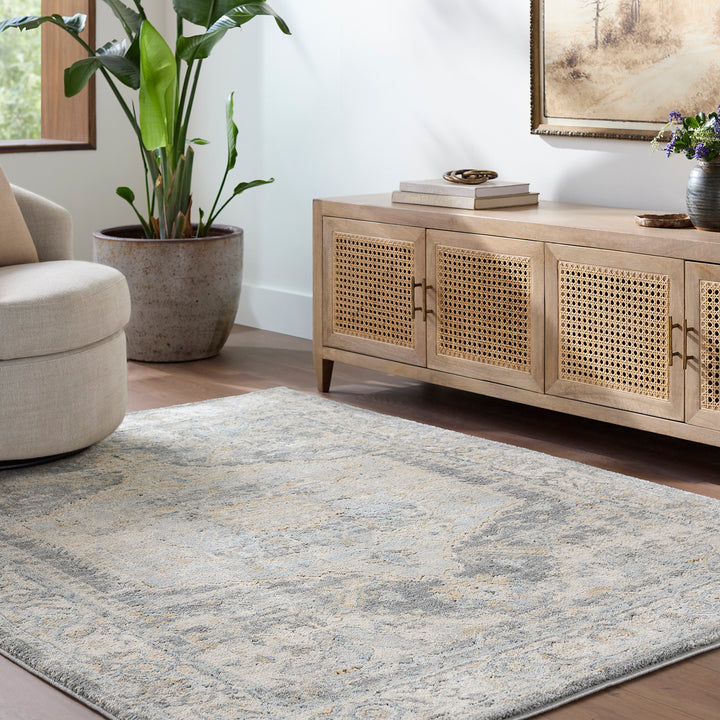 Luxury Avellino Vintage Traditional Boho High Pile Rug