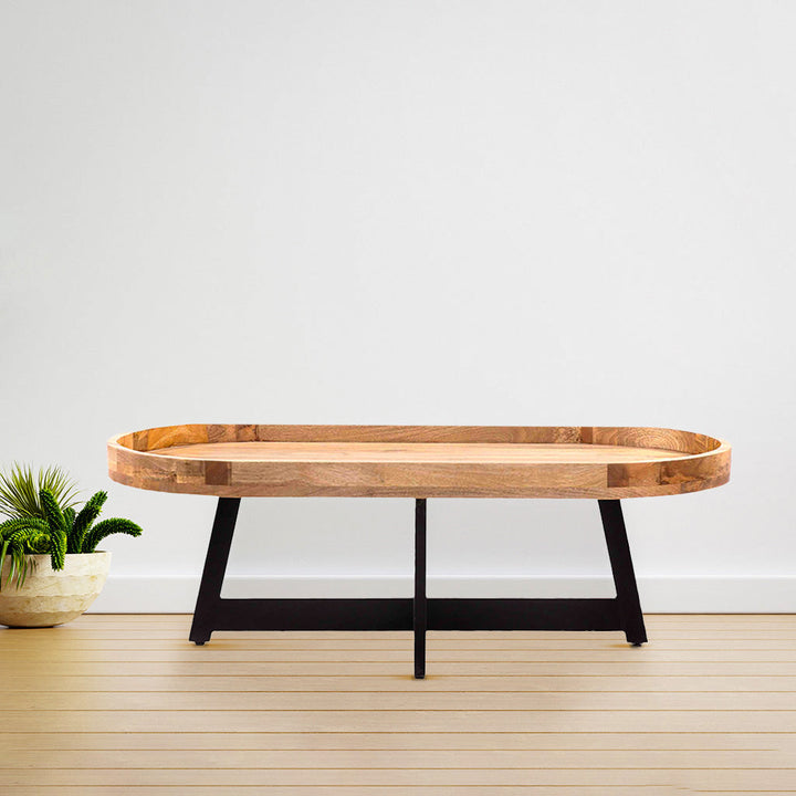 Colin Modern Oval Coffee Table