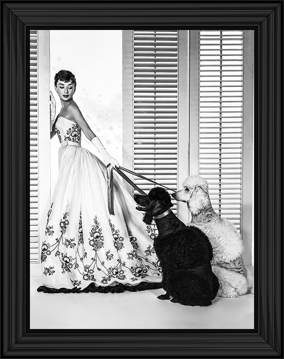 BAL09 Audrey's Poodles