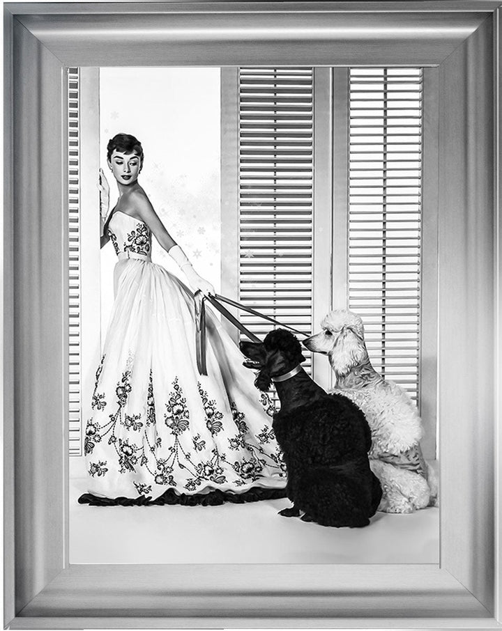 BAL09 Audrey's Poodles