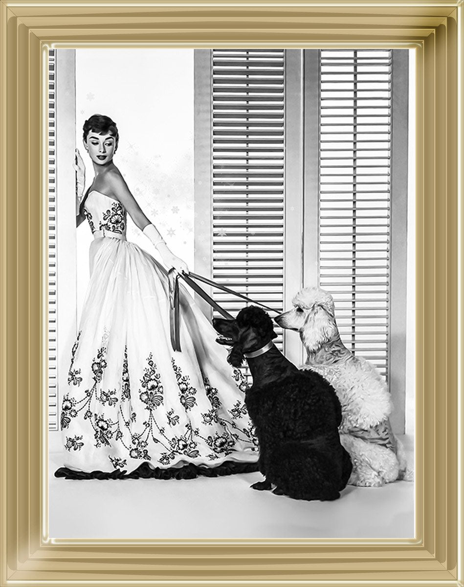 BAL09 Audrey's Poodles
