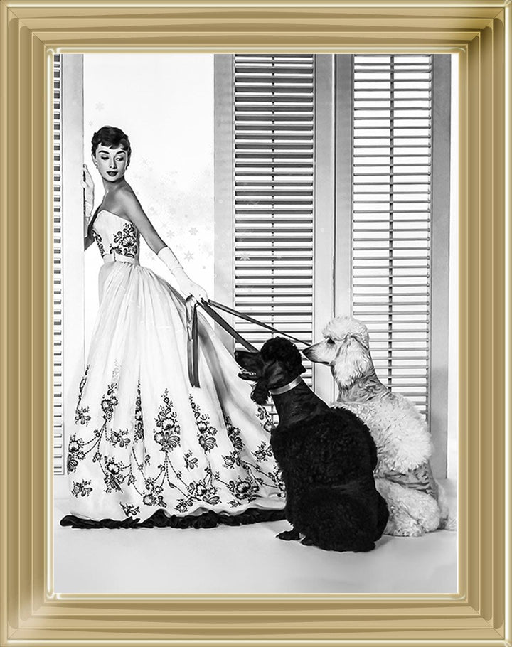 BAL09 Audrey's Poodles