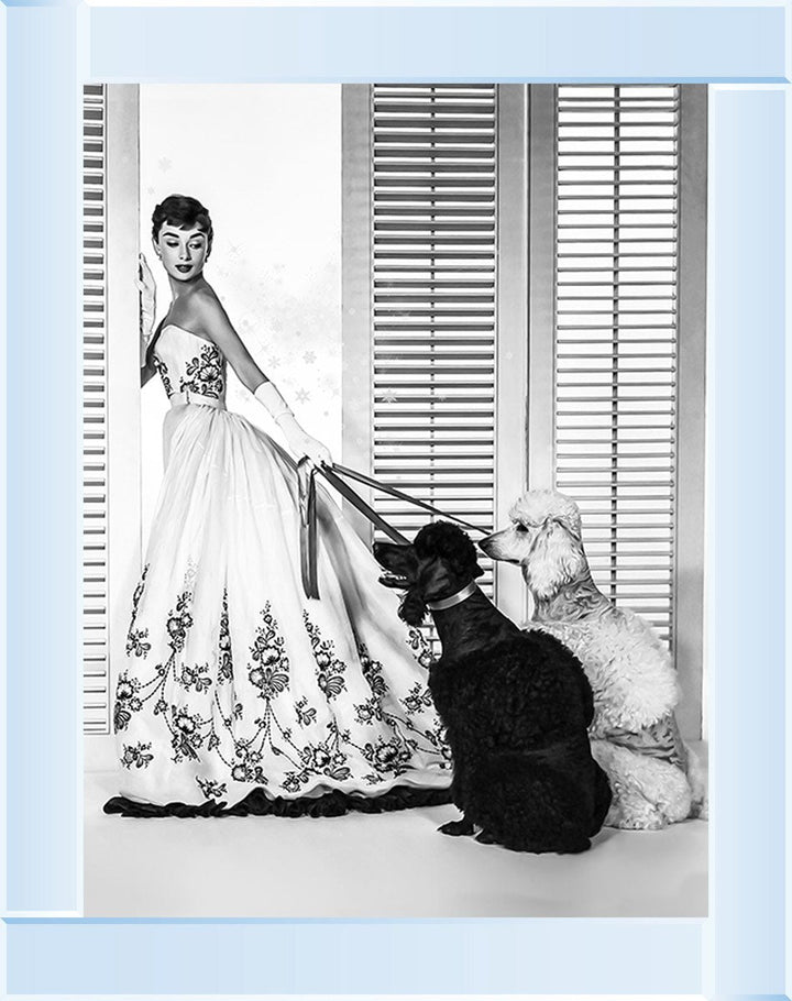 BAL09 Audrey's Poodles