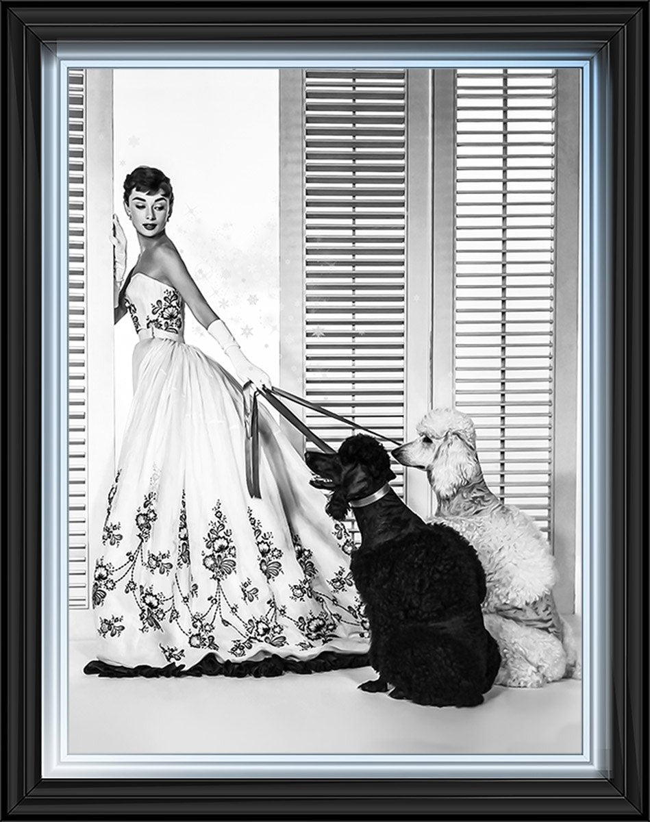 BAL09 Audrey's Poodles