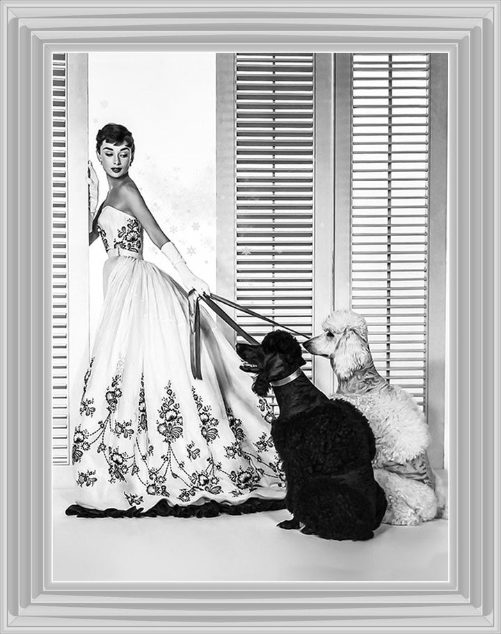 BAL09 Audrey's Poodles