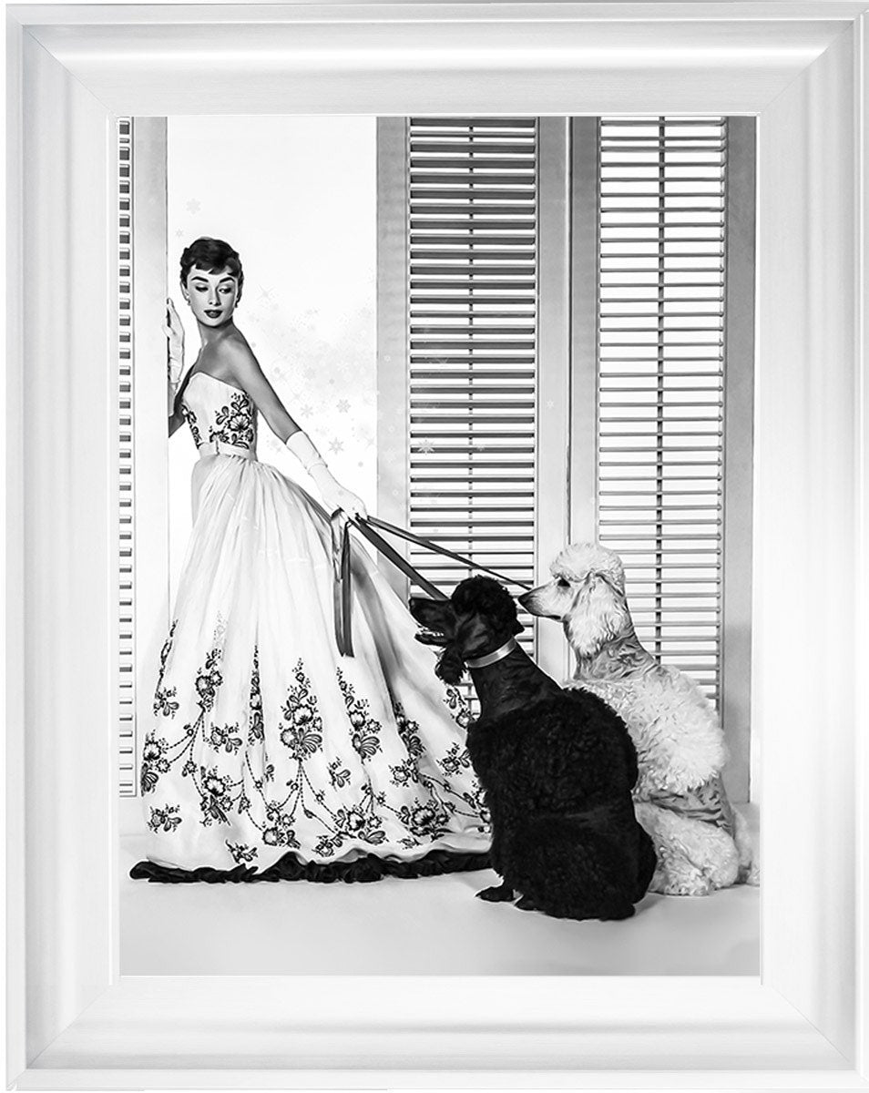 BAL09 Audrey's Poodles