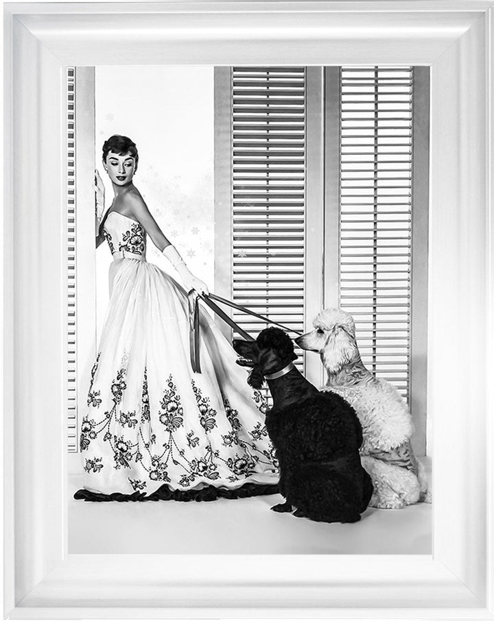 BAL09 Audrey's Poodles