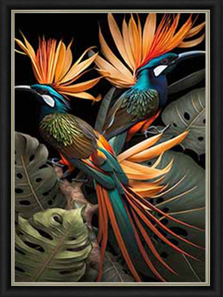 AN1053 Birds From Paradise ||