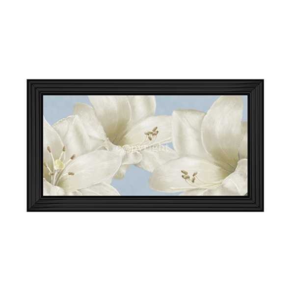 White Amaryllis III