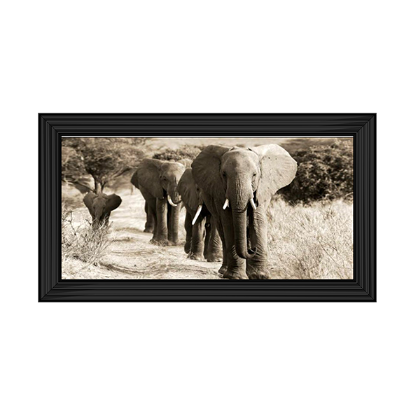 Herd of African Elephants- Kenya