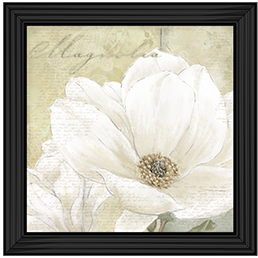 FL020 Aqua Magnolia I