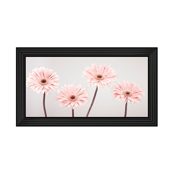 Set of 4 Gerberas nude pink