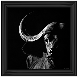 Wildlife Scratchboards VIII