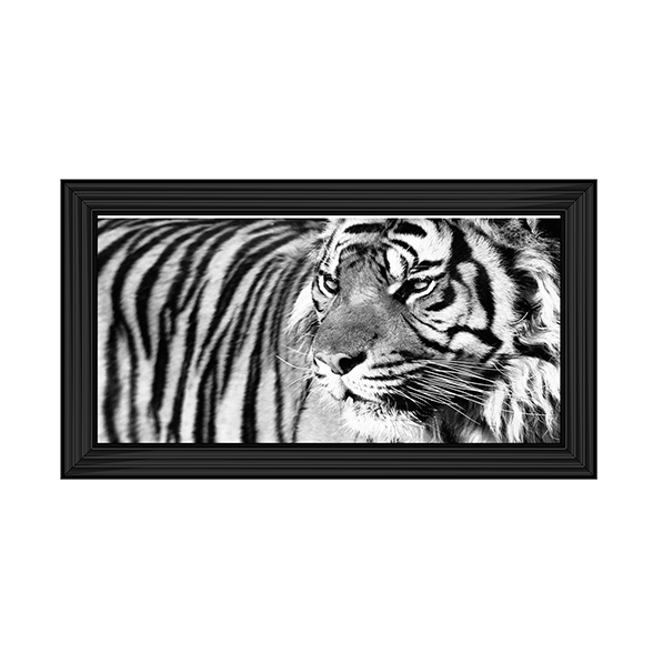 Tiger Eyes