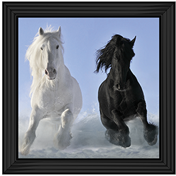 Salt And Pepper