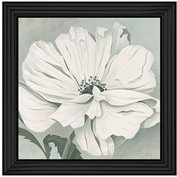White poppy