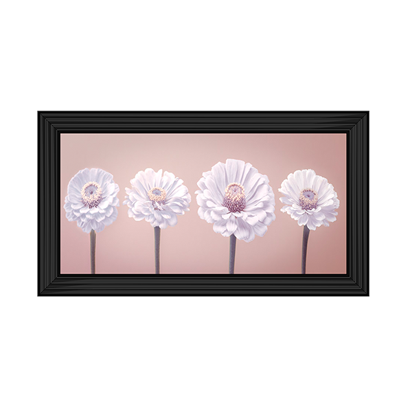 Four Zinnias in a row nude pink