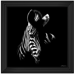 Wildlife Scratchboards V